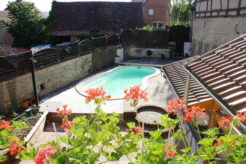 Gites Des Dix Vins Dangolsheim Exterior photo